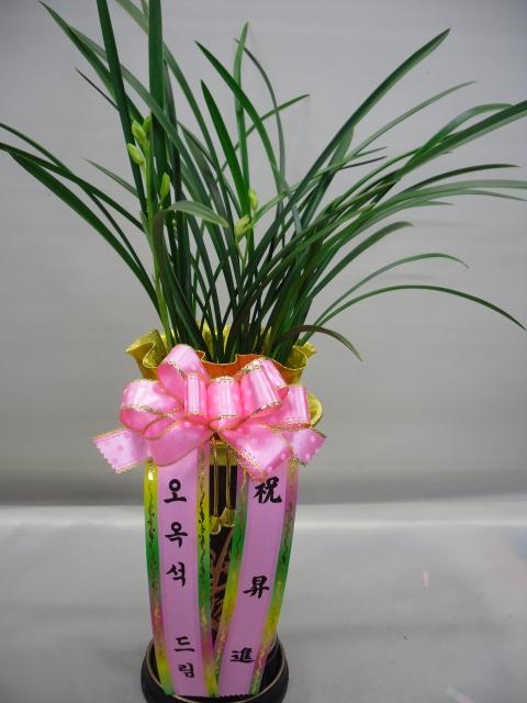 10-12  糭