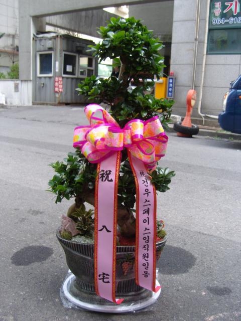 10-27 ǿ콺̽ 