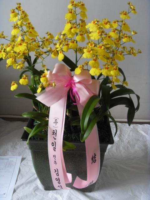 11-05 迵 糭