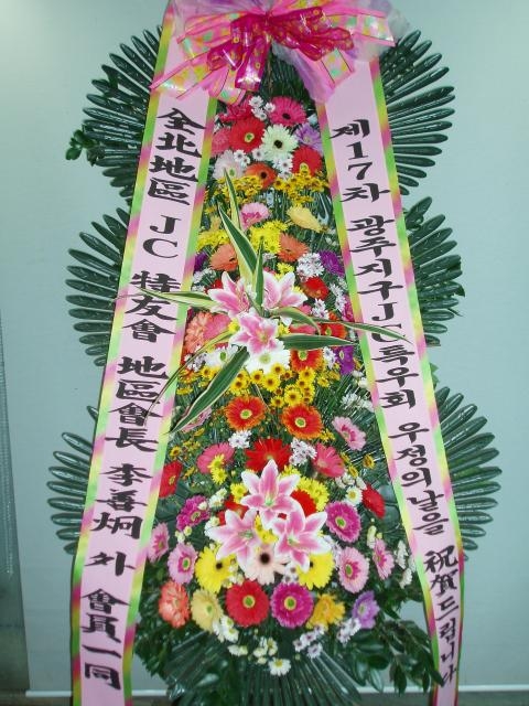 11-05 ڸƻ 3