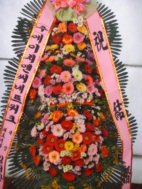 11-06 ʴ 3