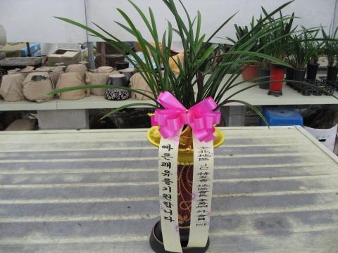 11-07 ڸƻ 糭