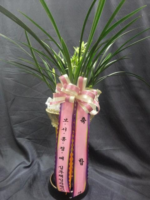 11-10  糭