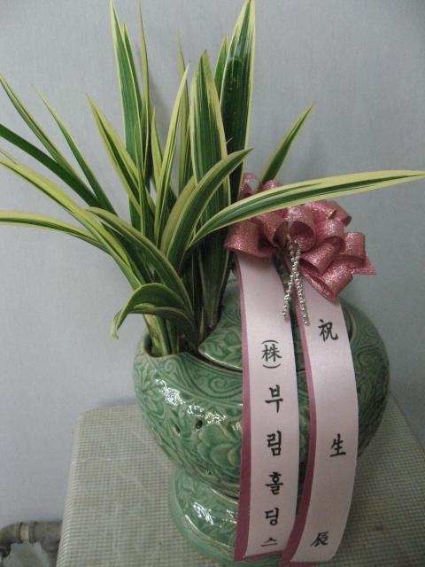 11-21 θȦ 糭