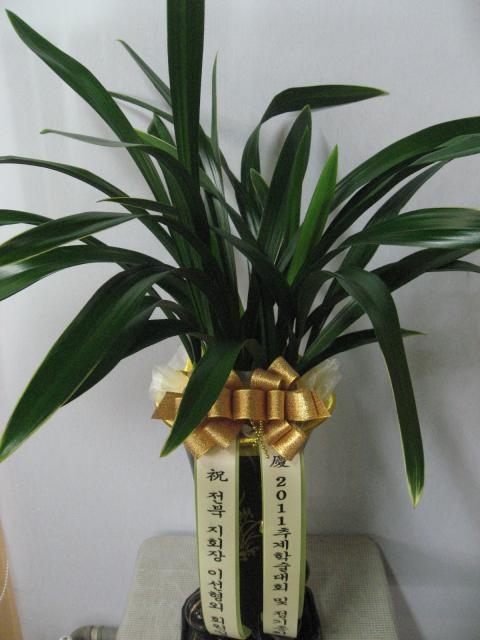 11-23 ̼ 糭