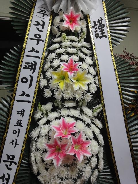 11-29 ǿ콺̽ 3
