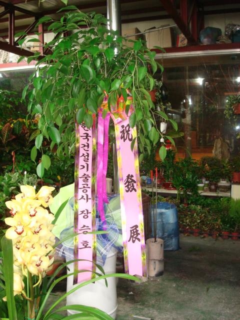 12-03 ѱǼ 
