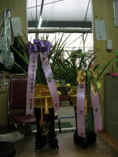 12-06 ѱǼ 糭