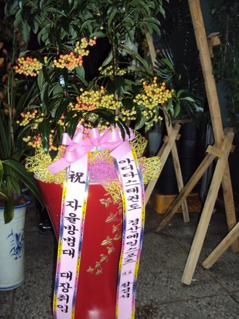 12-10 Ȳ漮 