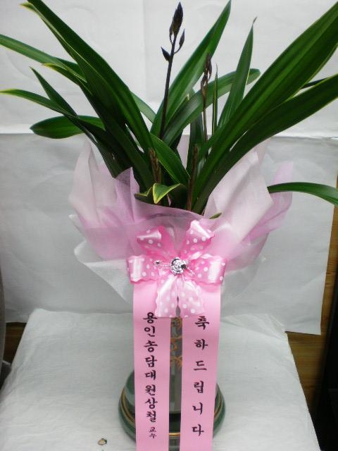 12-20  糭