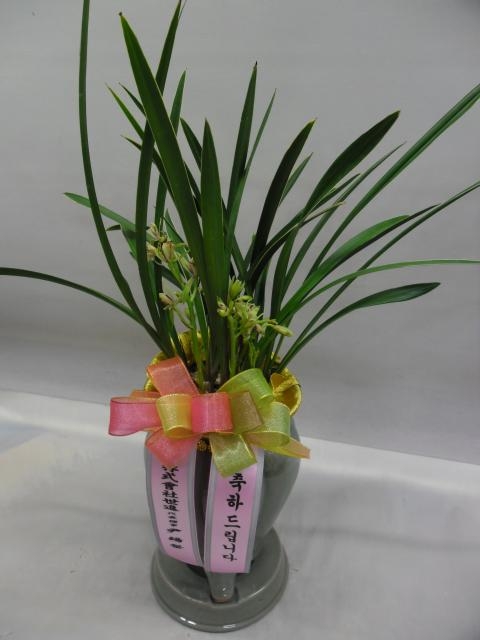 12-22  糭