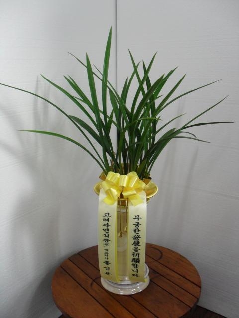 12-22 ڿ 糭