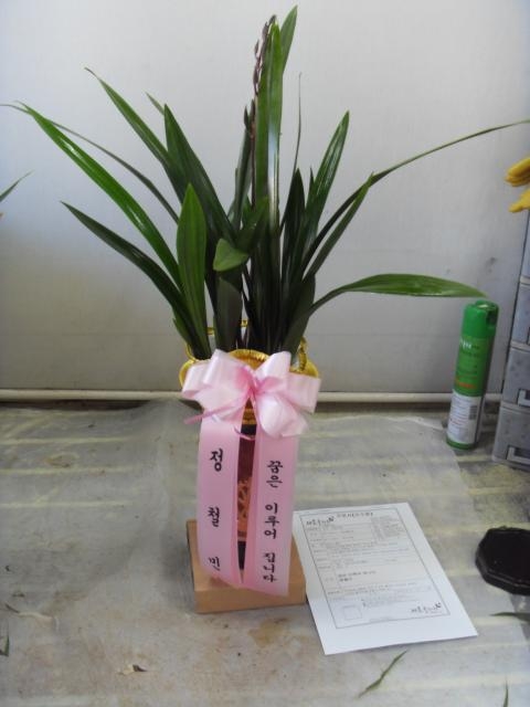 12-22 ̽ڴ 糭