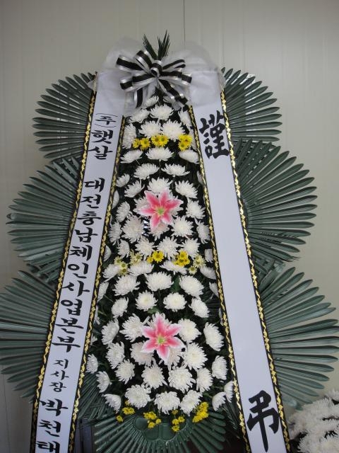 12-23 ޻ 3