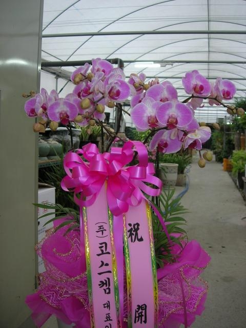 1-19 ڽʹ 糭