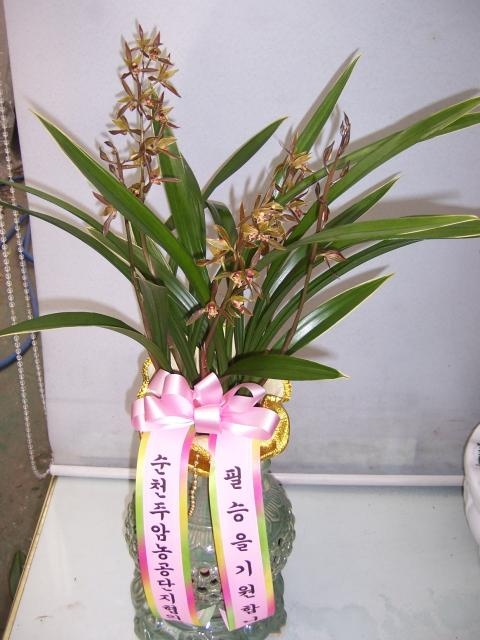 3-19 ֿ 糭