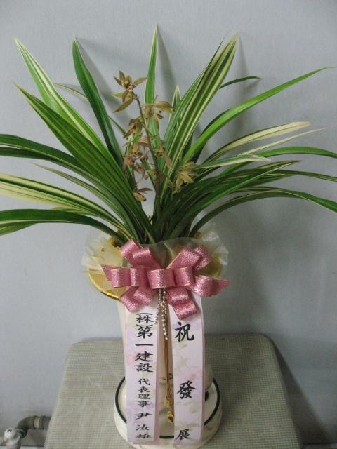 3-23 ϰǼ 糭