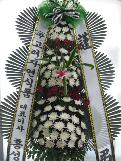 3-26 ڿ 3