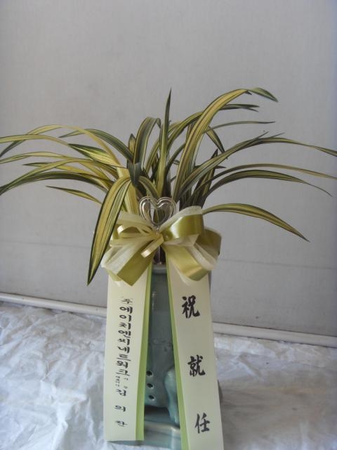 3-26 ̴ 糭