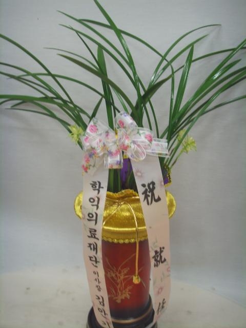 3-29 ⿵ 糭
