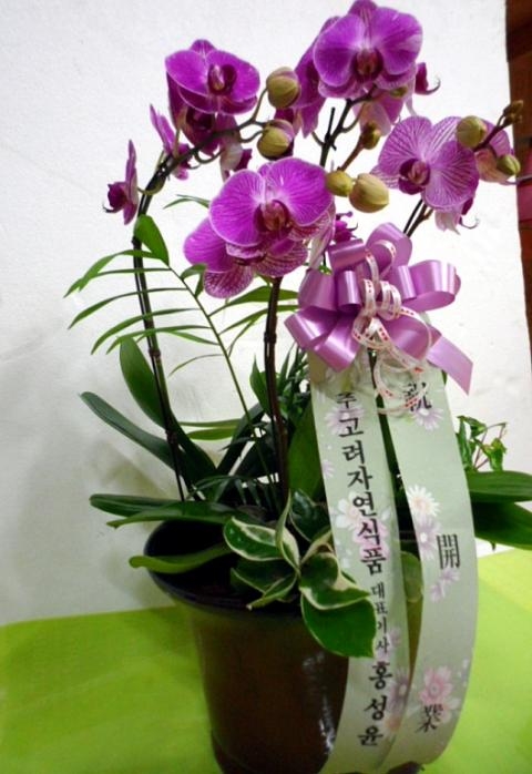 4-03 ڿǰ 糭