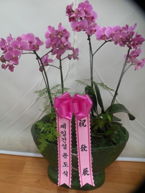4-06 ϰǼ 糭