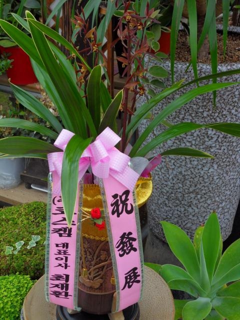 4-13 ڽʹ 糭