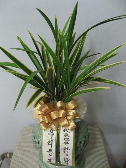4-20 ǿ콺̽ 糭