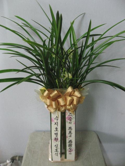 5-15 ⿵ 糭