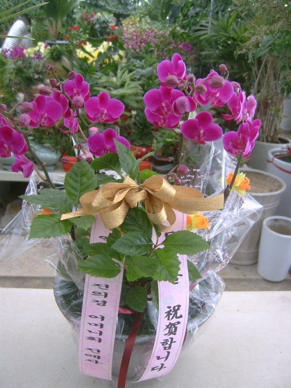 5-31 ڴ 糭