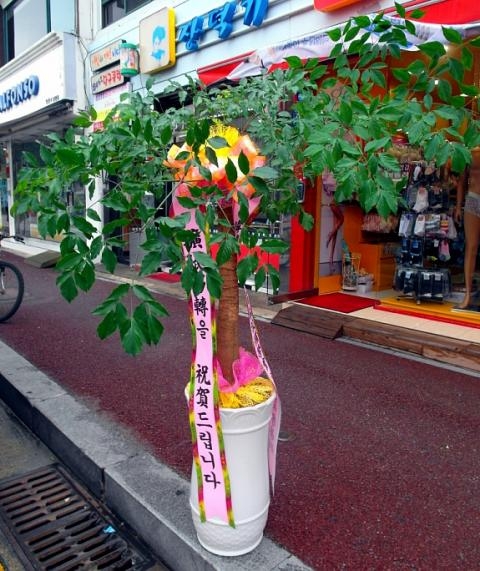 7-11 ڸƻ 