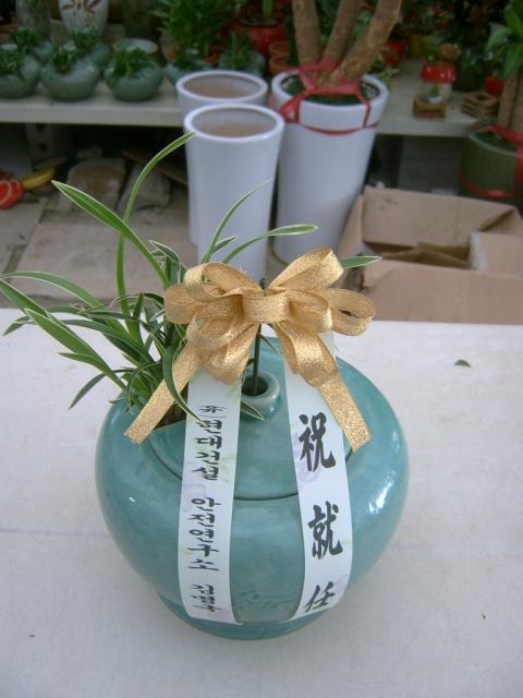 7-16 Ǽ 糭