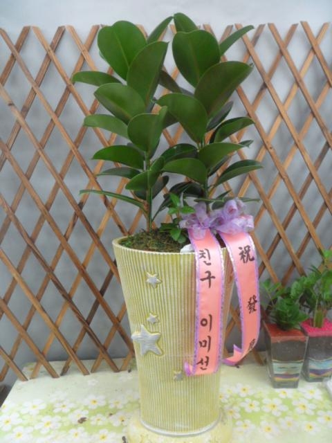 7-20 ⼺ 