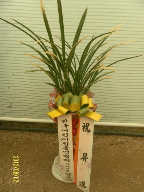 8-02  糭