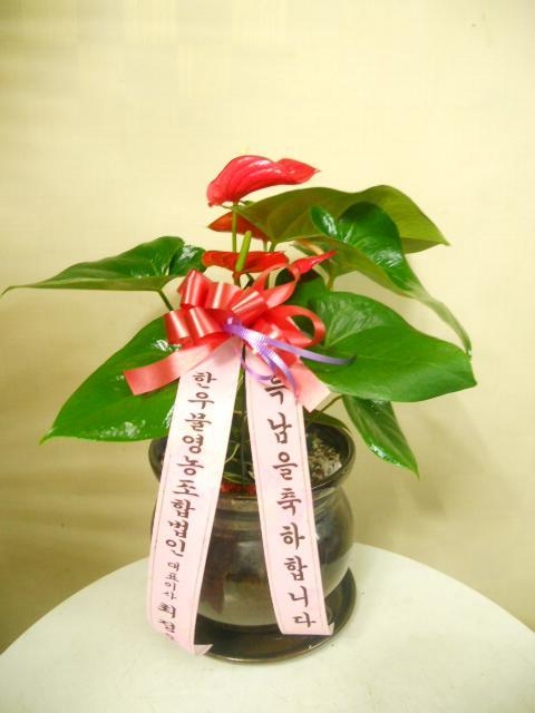 8-21 ѿ칰 