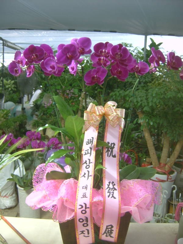 8-24 ǻ 糭