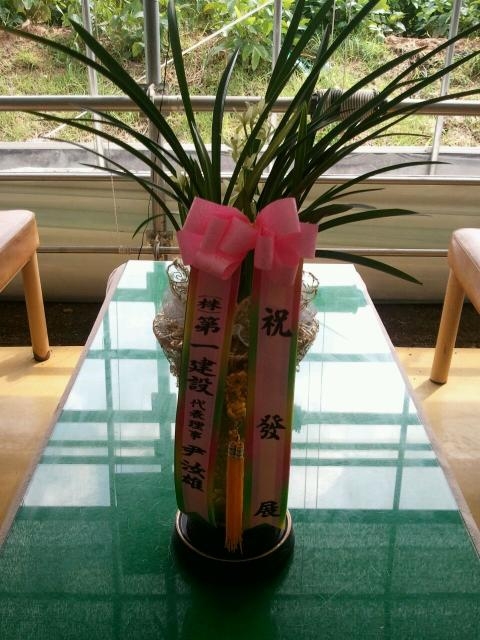 9-05 ϰǼ 糭