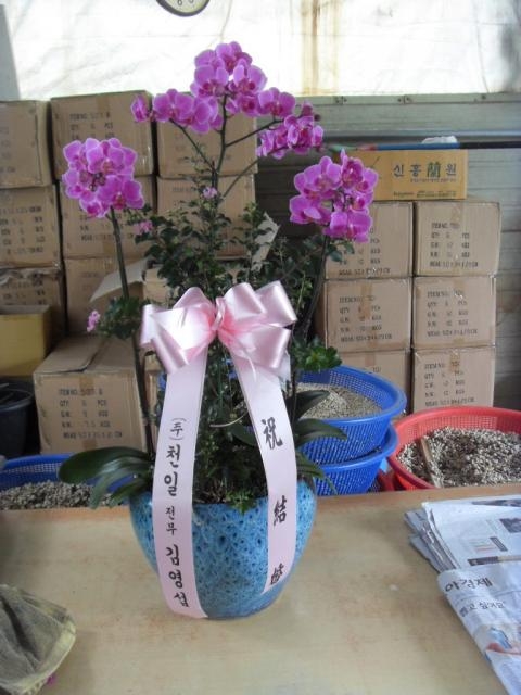 9-08 迵 糭