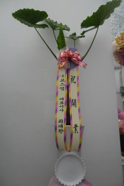 9-07 ڽʹ ȭ