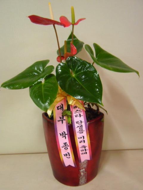 10-02 δ 
