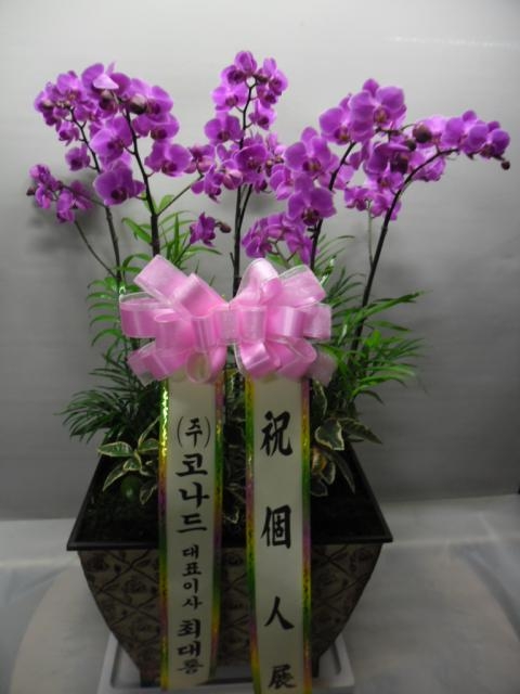 10-10 ڳ 糭