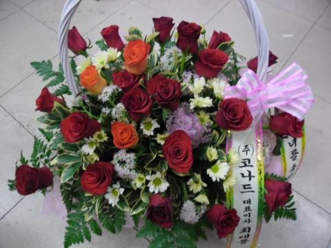 10-12 ڳ ɹٱ