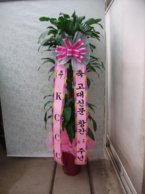 11-02  