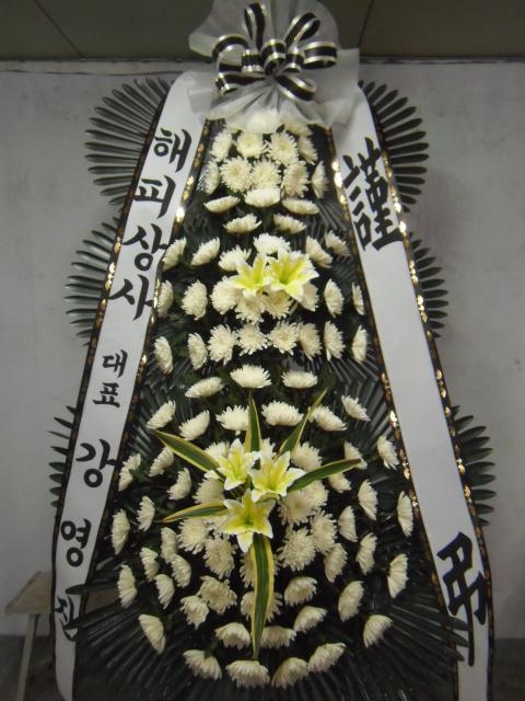 12-03 ǻ Ư