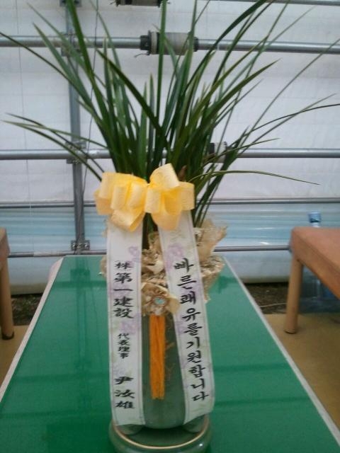 12-03 ϰǼ 糭