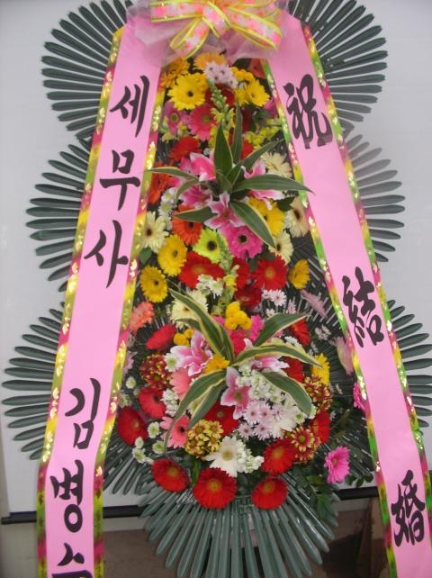 12-08 躴 3