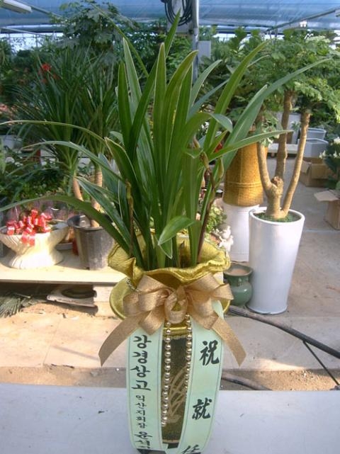 12-10  糭