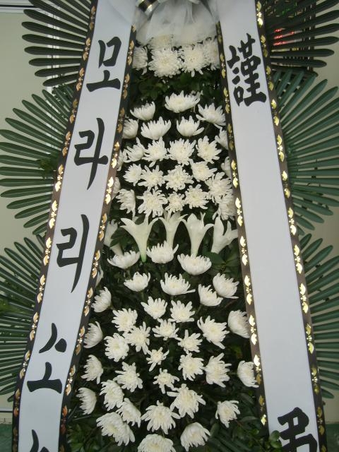 12-18 踲 3