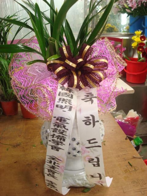 12-20 ڸƻ 糭