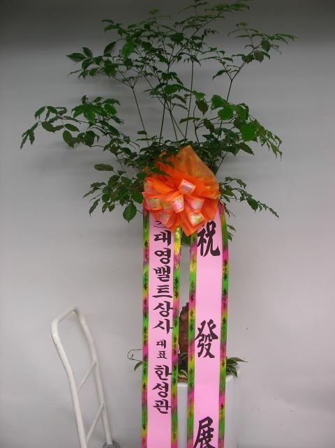 7/20 뿵Ʈ 